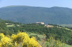 Castello Di Petrata