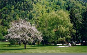Eco Ambient Hotel Elda