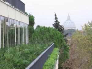 Cardinal Hotel St. Peter