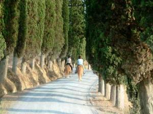 Agriturismo Fattoria Voltrona