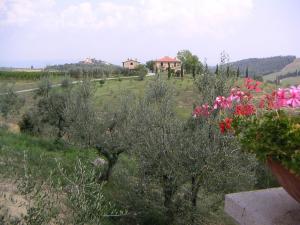 Agriturismo Fattoria Voltrona