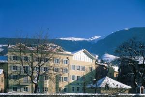 Hotel Gr??ner Baum