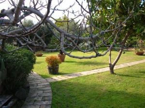 B&B Villa Chiarenza