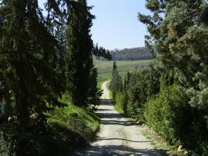 Agriturismo Casa Alle Vacche