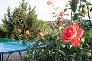 Agriturismo Olmi Grossi