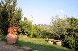 Agriturismo Olmi Grossi