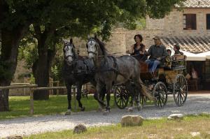 Il Felcino