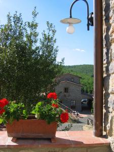 Hotel Le Noci