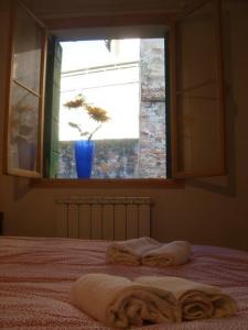Cosy Apartments