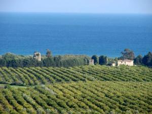Torre Del Golfo