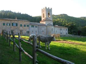 Badia a Coltibuono