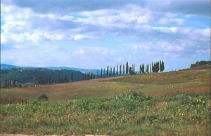 Tenuta Il Tresto