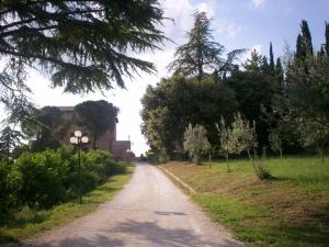 Assisi Garden