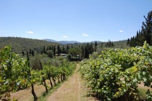 Agriturismo Borgo Del Senatore