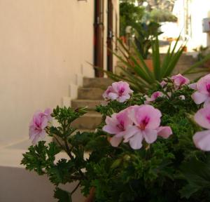 La Plaza Residence Levanzo
