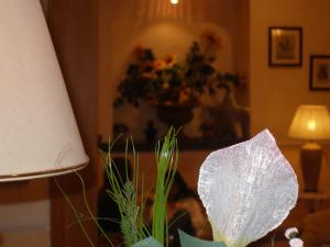 Hotel Lento