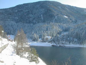 Hotel Pineta