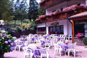 Hotel Pineta