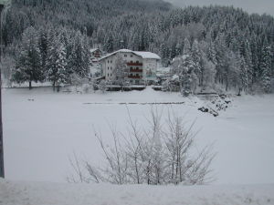 Hotel Pineta