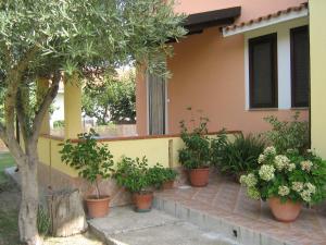 Camping Case Vacanza Lungomare