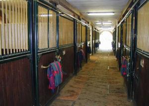 San Giacomo Horses & Agriturismo