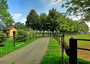 San Giacomo Horses & Agriturismo