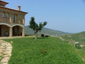 Sulle Onde Della Collina
