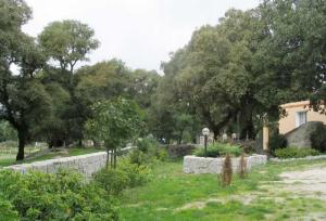 Santa Reparata