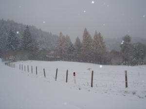 Hotel Fior Di Bosco