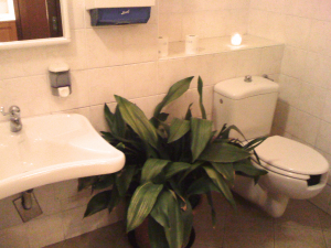 Hotel Tolin