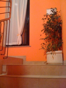 Hotel Tolin