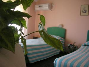 Albergo Astoria