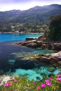 Hotel Ilio