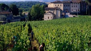 Castel Monastero