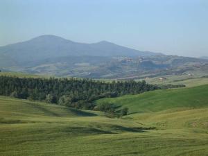 Agriturismo Bonello