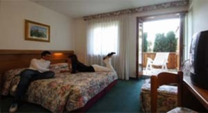 Hotel Tevini
