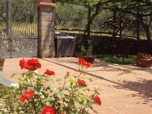 Bellaria Relais