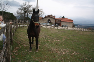Agriturismo La Collina Delle Stelle