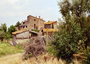 Agriturismo Borgo Cenaioli