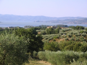 Agriturismo Borgo Cenaioli
