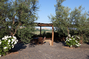 Tenuta Saracone