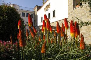 Villa Venus
