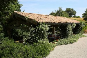 LE RADICI natura & benessere
