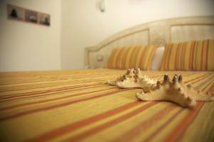 Hotel Raffael