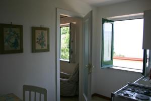 Gli Ulivi