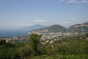 Gli Ulivi