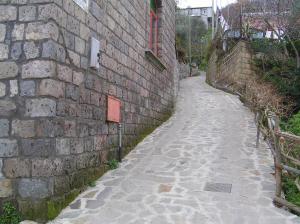 Gli Ulivi