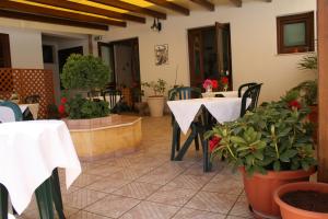Sun Garden