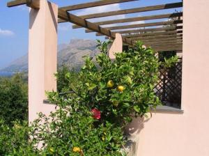 Hotel Martino