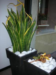 Hotel Mini Palace - Small & Charming